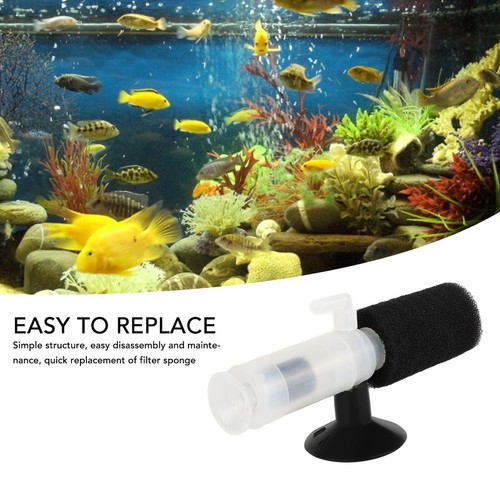 Mini aquarium sponge - aquarium,