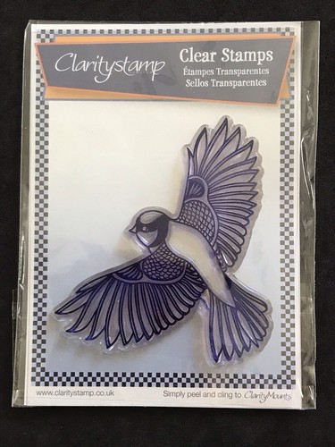 Detailed garden bird - , clarity