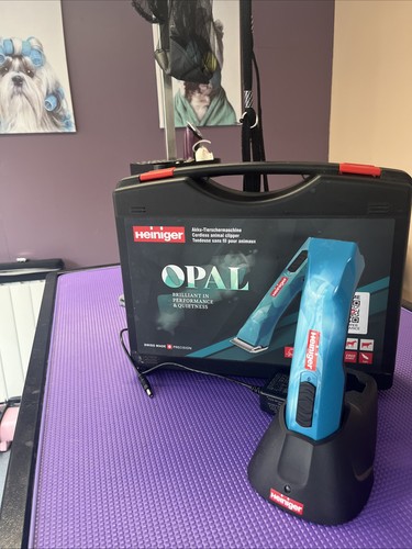 Heiniger opal dog - dog, grooming