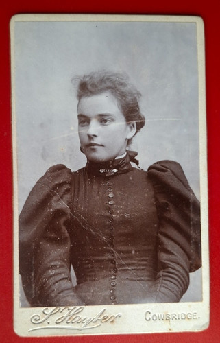 Hayter cowbridge cdv carte - s,