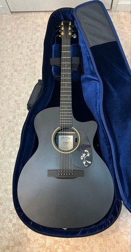 Martin gpc x1e black - martin, gpc-x1e