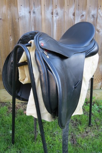 Albion legend dressage - legend,