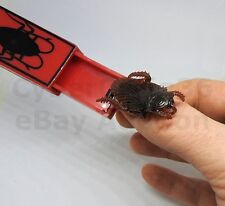 COCKROACH PADDLE MAGIC COMEDY TRICK & FUNNY GAG SHOCK PRANK CLOSE UP NEW STREET