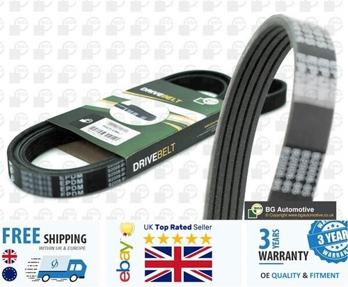 Ribbed belt for - ribbed,