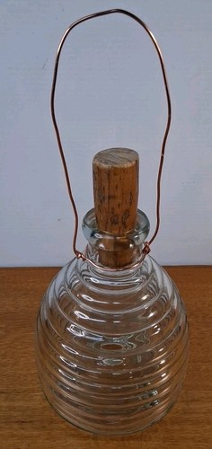 Beehive clear glass fly - glass, wasp