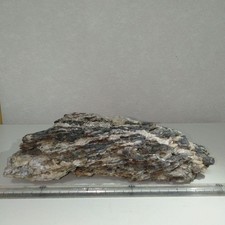 Suiseki Stone Natural Japanese
