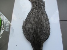 metz premium cock cape neck