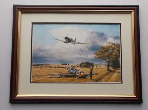 X17 aircraft print - 13"x17",