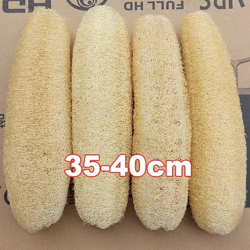 Natural tunisian loofah sponge - tunisian,