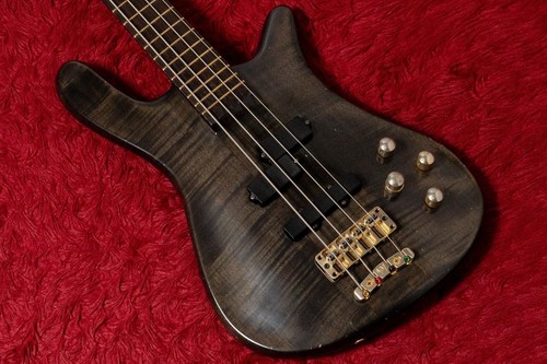 Warwick streamer stage - warwick,