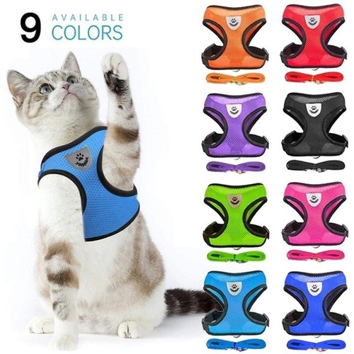 Cat harness and lead set - cat, small