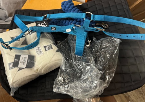 Equestrian job lot - equestrian, of
