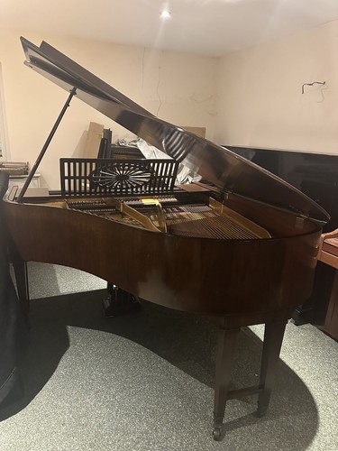 Schiedmeyer baby grand - grand,