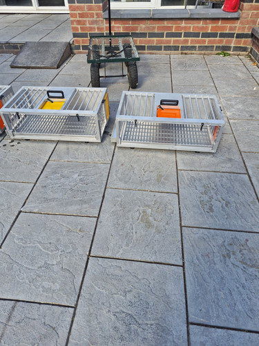 Racing pigeon training crates - pigeon,