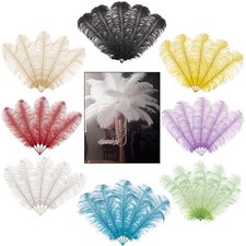 Small large ostrich - ostrich, feathers