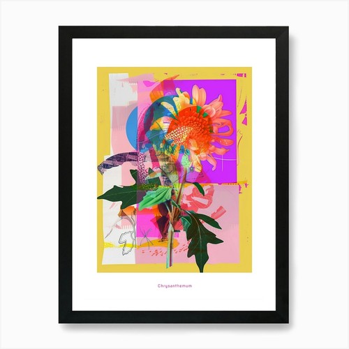 Chrysanthemum neon flower - chrysanthemum,