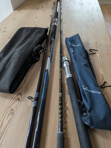 Shakespeare quarzlite boat rod - quarzlite,