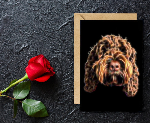 Chocolate brown cockapoo - brown,