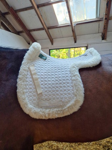 Mattes sheep wool saddle - mattes, pad