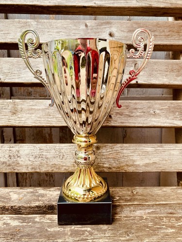 Silver sports trophy - silver,