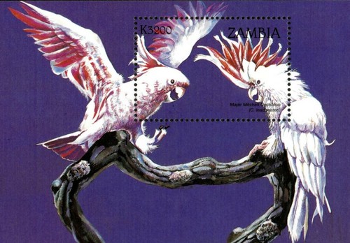 Zambia 1998 african birds - -,