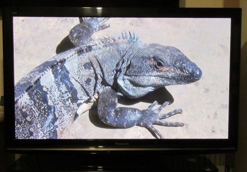 Panasonic p50s11b 1080p - panasonic, 50"