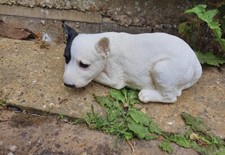 Latex Mould to Create this