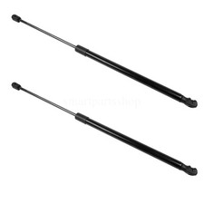 2X Tailgate Boot Gas Struts