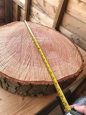 20" Rustic Log slice, ring