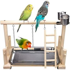 Parrot Playstand Bird Play Stand Cockatiel Playground Wood Perch Gym Toys