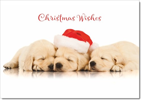 Doodlecards christmas wishes - christmas,