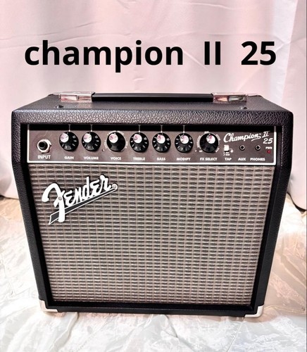 Fender champion guitar - ii, 25