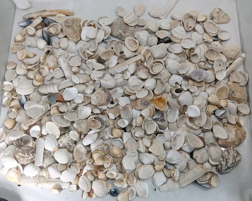 Large job lot approx 500 - of,
