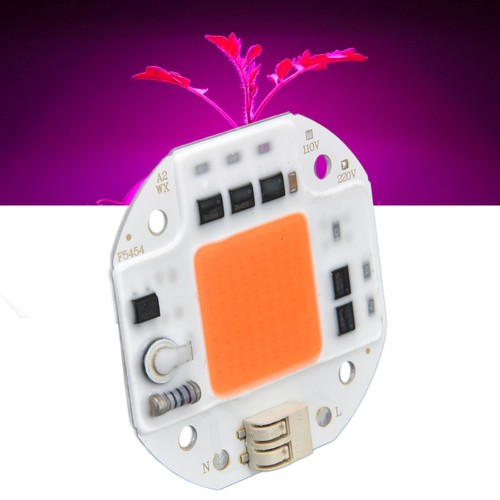 Led cob chip - chip, light