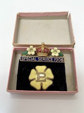 Antique Vintage Primrose League Enamel Badge & Brooch Special Service Political 