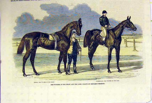 Old antique print horses - old,
