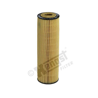 E38h d106 hengst filter - e38h,