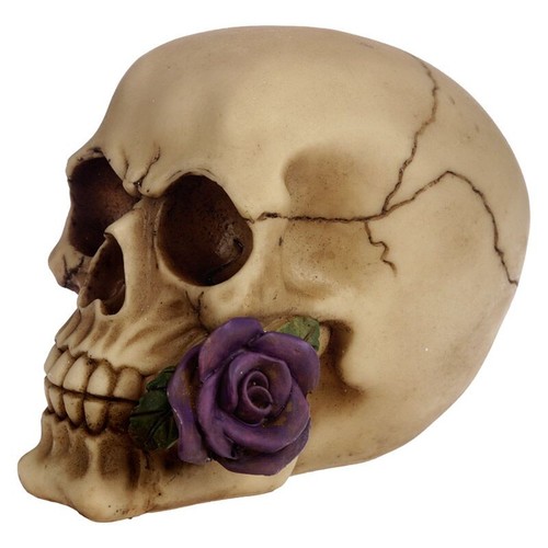 Various designs skull - various,