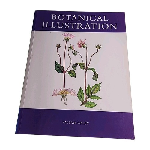 Botanical illustration valerie - botanical,