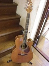 GregBenet Greg Bennett OM-15CE