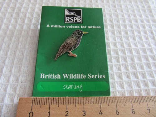 Rspb starling bird lapel pin - starling,