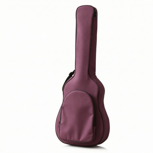 Folk guitar bag - padded, case
