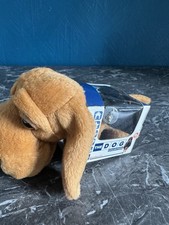 The Dog Artist Collection