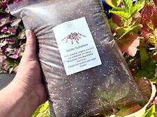 Spider Tarantula Substrate * PREMIUM * Insect, Invert Scorpion