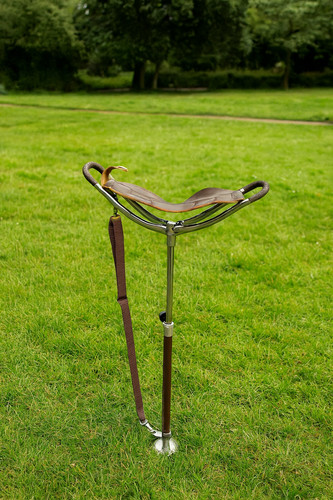 Walking stick shooting seat - stick,