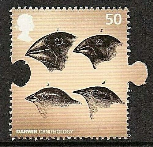 Finches - (jigsaw, perforations)