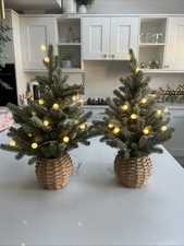 Set Of 2 Table Top Snow Kissed