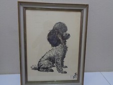 Vintage French Poodle  Beau