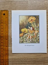 CICELY MARY BARKER - The