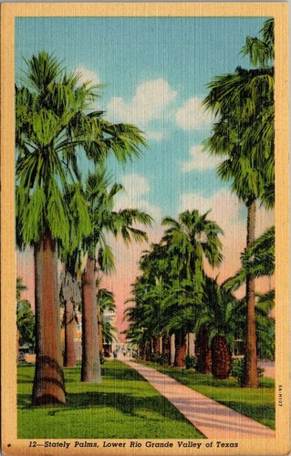 Stately palm trees - stately, grande